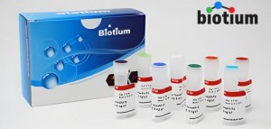 Save 30% on Biotium Life Science Reagents 