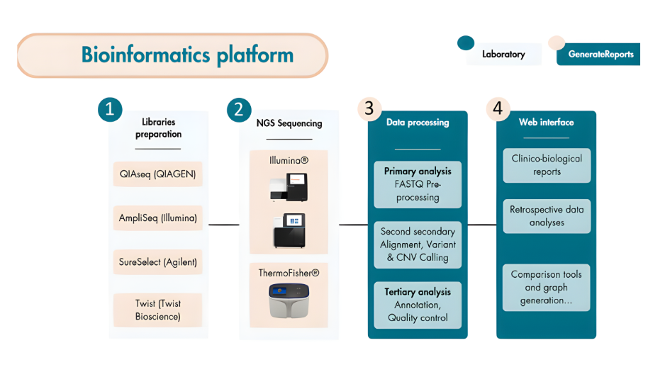 /upload/bioinformatics-platform-hagba2.png