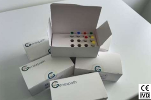 LymphoSign : kit CE/IVD pour la classification des lymphomes non hodgkiniens