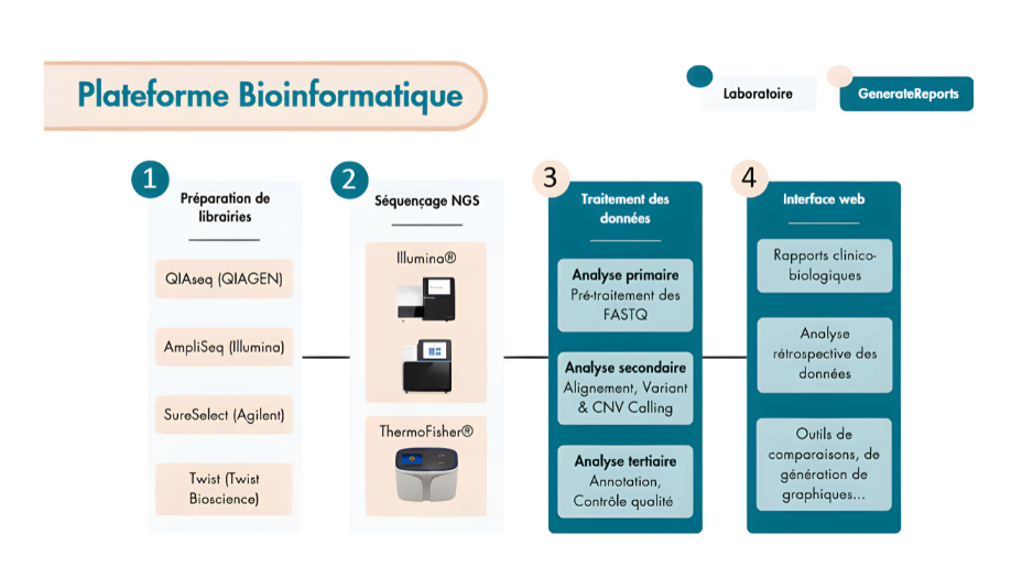 /upload/plateforme-bioinformatique-besuea.png