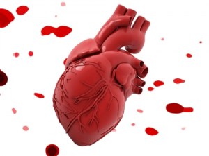 Échantillons Humains pour Votre Recherche Cardiovasculaire : Cellules, Tissus et Sections