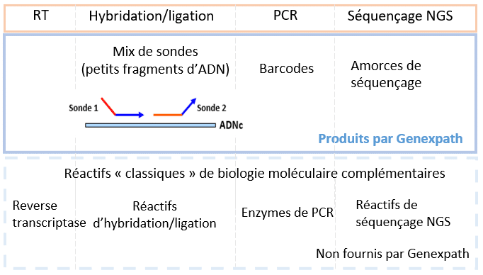 Protocole panel à façon