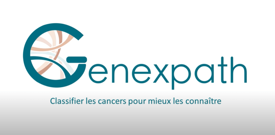 Mise en oeuvre du test in vitro RT-MLPSeq pour l'expression relative