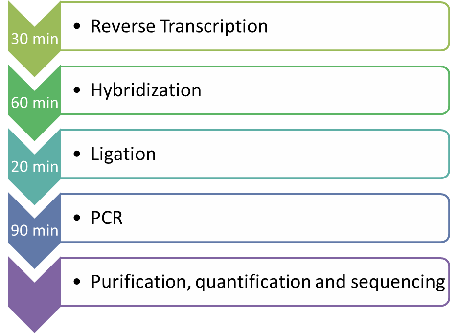 Protocole LymphoTranscript