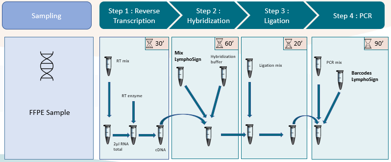 LymphoSign FR